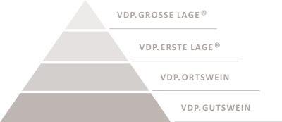 2016_Klassifikationspyramide_alle_Stufen_warmgrey_by_VDP